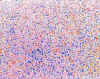 011.jpg (96073 octets)