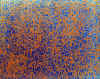 014.jpg (84248 octets)