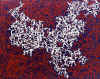 016.jpg (69328 octets)