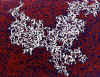 018.jpg (66712 octets)