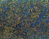 02.jpg (108555 octets)