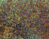 04.jpg (84501 octets)
