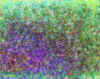 06.jpg (75576 octets)