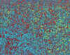 07.jpg (100971 octets)