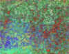 08.jpg (89033 octets)