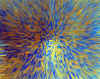 24.jpg (50854 octets)