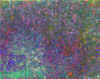 36.jpg (72313 octets)
