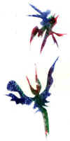 15.jpg (8974 octets)