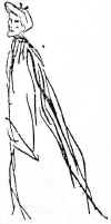 r1.jpg (12053 octets)